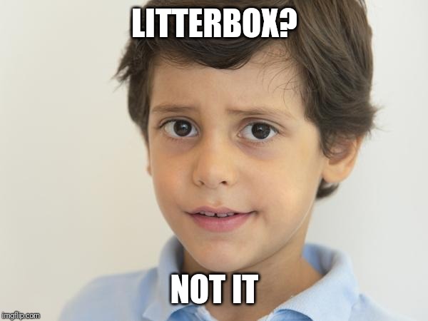 LITTERBOX? NOT IT | image tagged in young sam elliot | made w/ Imgflip meme maker