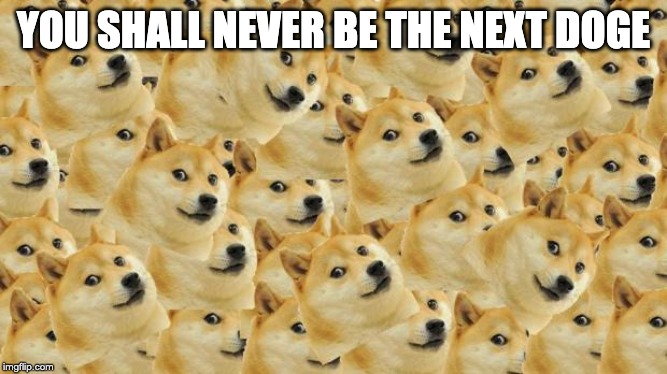 Multi Doge Meme | YOU SHALL NEVER BE THE NEXT DOGE | image tagged in memes,multi doge | made w/ Imgflip meme maker