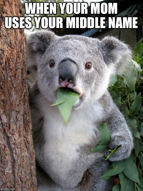 Surprised Koala | WHEN YOUR MOM USES YOUR MIDDLE NAME | image tagged in memes,surprised koala | made w/ Imgflip meme maker