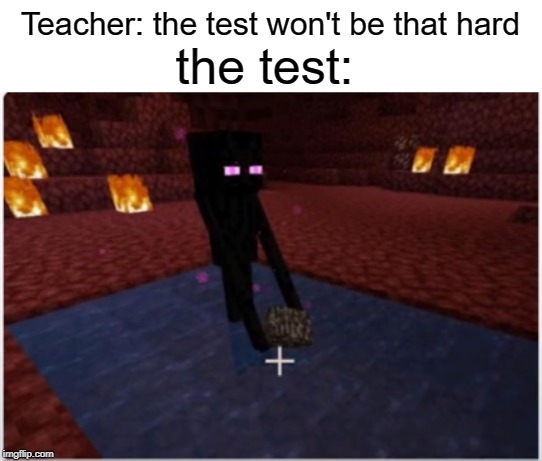 Only people who play minecraft will get this | Teacher: the test won't be that hard; the test: | image tagged in enderman,funny,memes,minecraft,test,teacher | made w/ Imgflip meme maker