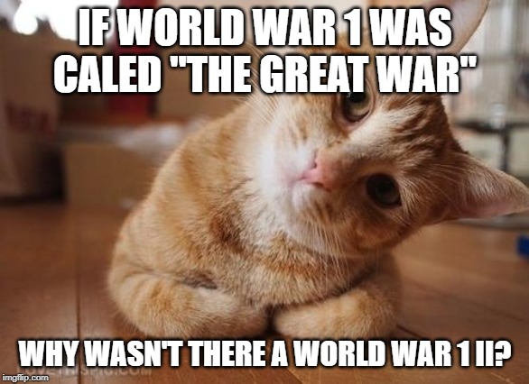 Curious Question Cat | IF WORLD WAR 1 WAS CALED "THE GREAT WAR"; WHY WASN'T THERE A WORLD WAR 1 II? | image tagged in curious question cat | made w/ Imgflip meme maker