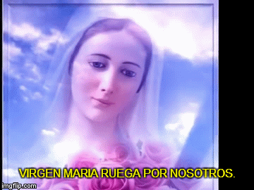 Rosa Mistica | VIRGEN MARIA RUEGA POR NOSOTROS. | image tagged in gifs | made w/ Imgflip video-to-gif maker