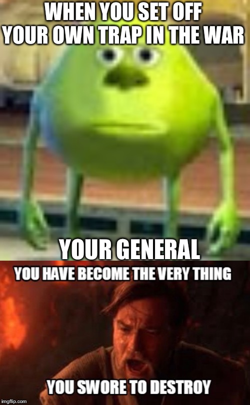 WHEN YOU SET OFF YOUR OWN TRAP IN THE WAR; YOUR GENERAL | image tagged in sully wazowski | made w/ Imgflip meme maker