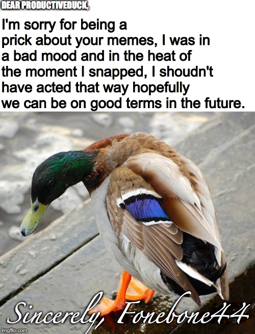 sad duck | DEAR PRODUCTIVEDUCK, I'm sorry for being a prick about your memes, I was in a bad mood and in the heat of the moment I snapped, I shoudn't have acted that way hopefully we can be on good terms in the future. Sincerely, Fonebone44 | image tagged in sad duck | made w/ Imgflip meme maker