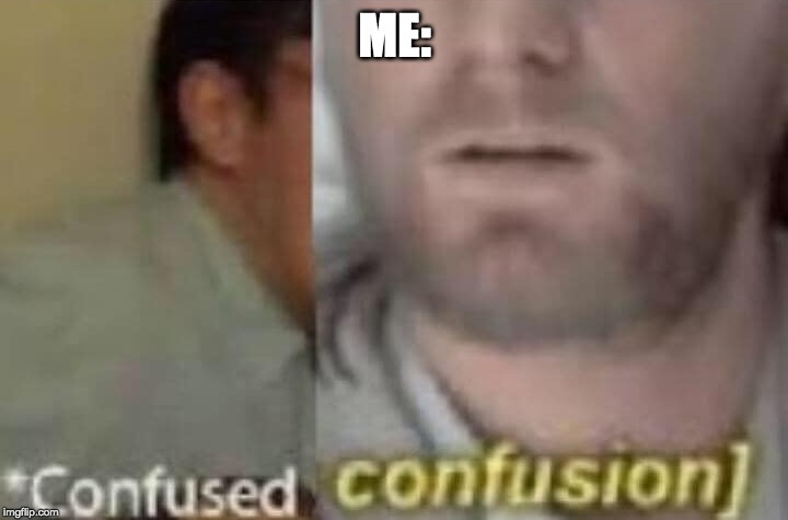 Confused confusion | ME: | image tagged in confused confusion | made w/ Imgflip meme maker