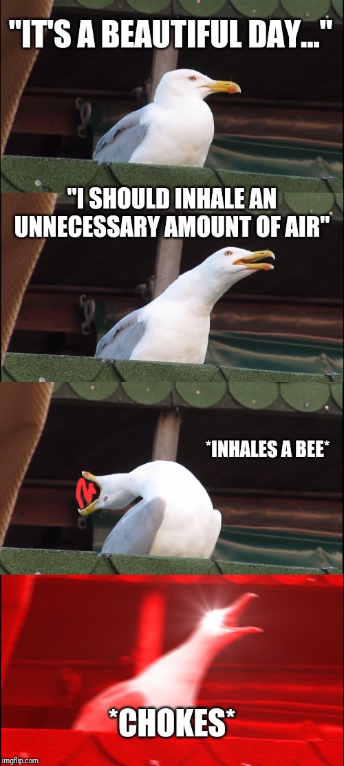 Inhaling Seagull | "IT'S A BEAUTIFUL DAY..."; "I SHOULD INHALE AN UNNECESSARY AMOUNT OF AIR"; *INHALES A BEE*; *CHOKES* | image tagged in memes,inhaling seagull | made w/ Imgflip meme maker