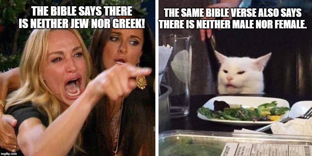 Smudge the cat | THE SAME BIBLE VERSE ALSO SAYS THERE IS NEITHER MALE NOR FEMALE. THE BIBLE SAYS THERE IS NEITHER JEW NOR GREEK! | image tagged in smudge the cat | made w/ Imgflip meme maker
