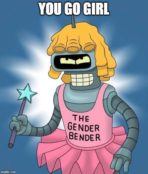 Gender Bender | YOU GO GIRL | image tagged in gender bender | made w/ Imgflip meme maker