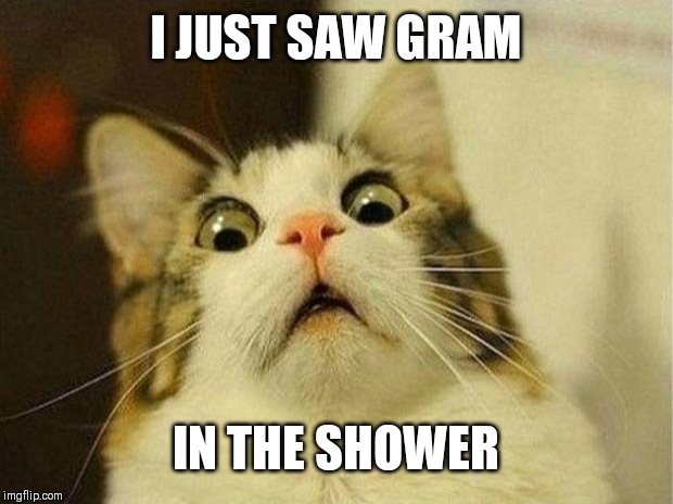 Scared Cat Meme | I JUST SAW GRAM; IN THE SHOWER | image tagged in memes,scared cat | made w/ Imgflip meme maker