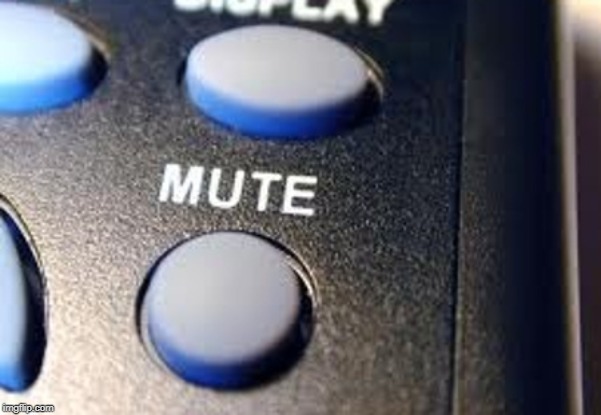 mute button | image tagged in mute button | made w/ Imgflip meme maker