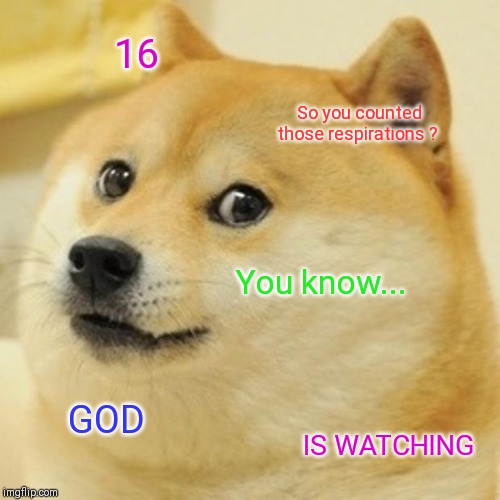 Doge | 16; So you counted those respirations ? You know... GOD; IS WATCHING | image tagged in memes,doge | made w/ Imgflip meme maker