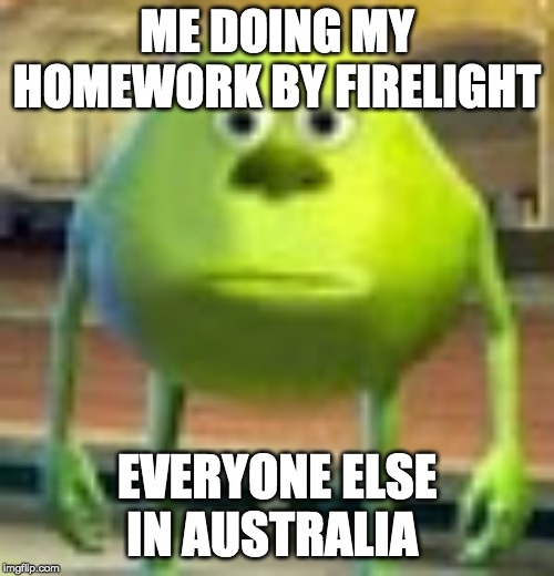 Sully Wazowski | ME DOING MY HOMEWORK BY FIRELIGHT; EVERYONE ELSE IN AUSTRALIA | image tagged in sully wazowski | made w/ Imgflip meme maker