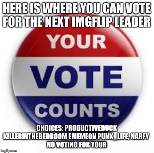 Vote now | HERE IS WHERE YOU CAN VOTE FOR THE NEXT IMGFLIP LEADER; CHOICES: PRODUCTIVEDUCK KILLERINTHEBEDROOM EMEMEON PUNK_LIFE, NARFY 
NO VOTING FOR YOURSELF | image tagged in vote | made w/ Imgflip meme maker
