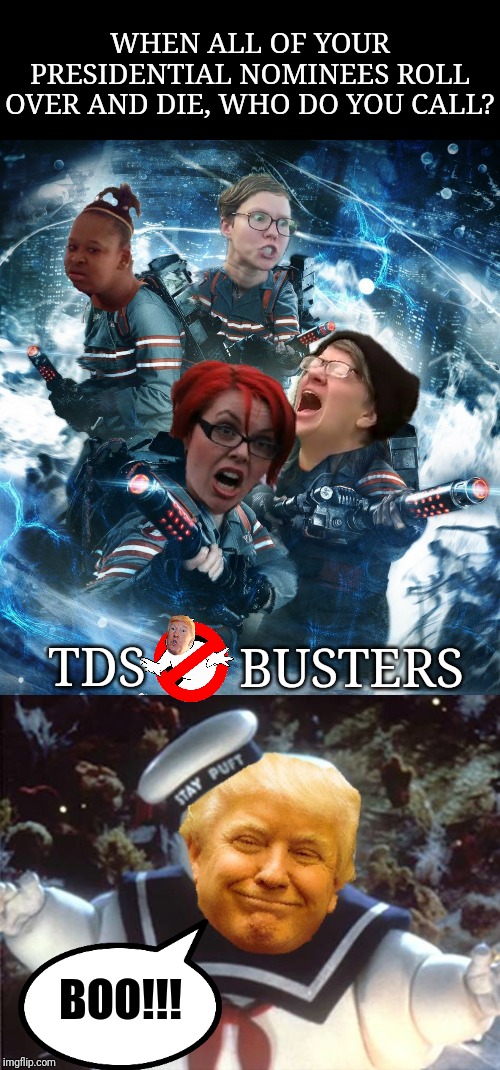 Who Ya Gonna Call? | WHEN ALL OF YOUR PRESIDENTIAL NOMINEES ROLL OVER AND DIE, WHO DO YOU CALL? BUSTERS; TDS; BOO!!! | image tagged in tds,trump derangement syndrome,donald trump,2020 elections,ghostbusters,triggered liberal | made w/ Imgflip meme maker