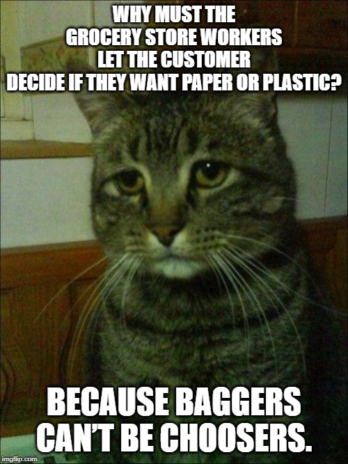 baggers can't be choosers | WHY MUST THE GROCERY STORE WORKERS LET THE CUSTOMER DECIDE IF THEY WANT PAPER OR PLASTIC? BECAUSE BAGGERS CAN’T BE CHOOSERS. | image tagged in memes,depressed cat,baggers can't be choosers | made w/ Imgflip meme maker
