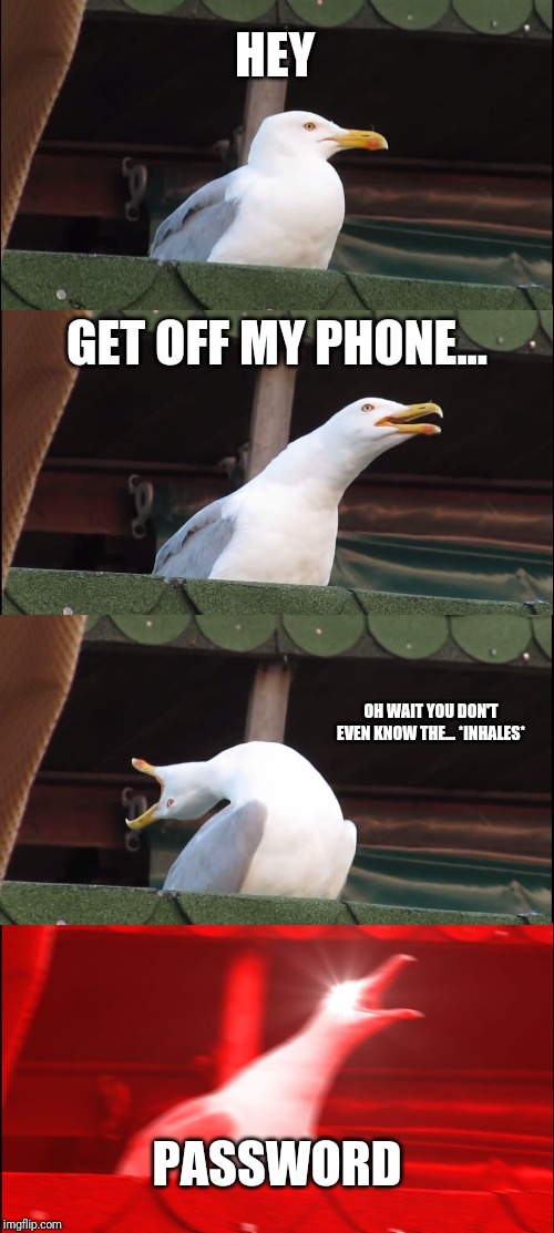 Inhaling Seagull | HEY; GET OFF MY PHONE... OH WAIT YOU DON'T EVEN KNOW THE... *INHALES*; PASSWORD | image tagged in memes,inhaling seagull | made w/ Imgflip meme maker