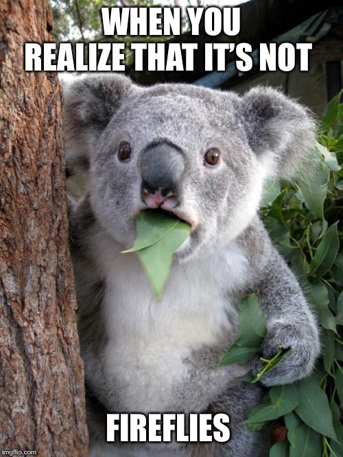 Surprised Koala | WHEN YOU REALIZE THAT IT’S NOT; FIREFLIES | image tagged in memes,surprised koala | made w/ Imgflip meme maker