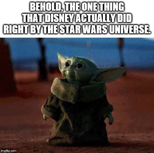 baby yoda | BEHOLD, THE ONE THING THAT DISNEY ACTUALLY DID RIGHT BY THE STAR WARS UNIVERSE. | image tagged in baby yoda | made w/ Imgflip meme maker