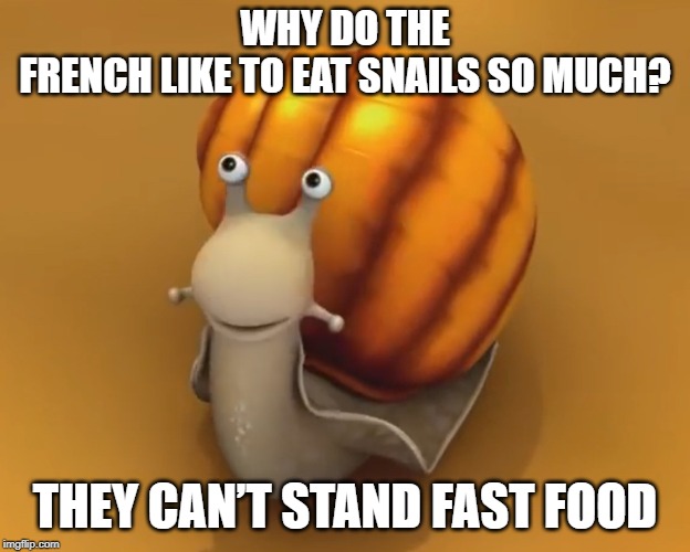 the French do not like fast food | WHY DO THE FRENCH LIKE TO EAT SNAILS SO MUCH? THEY CAN’T STAND FAST FOOD | image tagged in snail,fast food,bad puns | made w/ Imgflip meme maker