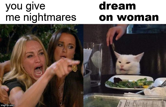Dreamy |  you give me nightmares; dream on woman | image tagged in memes,woman yelling at cat | made w/ Imgflip meme maker