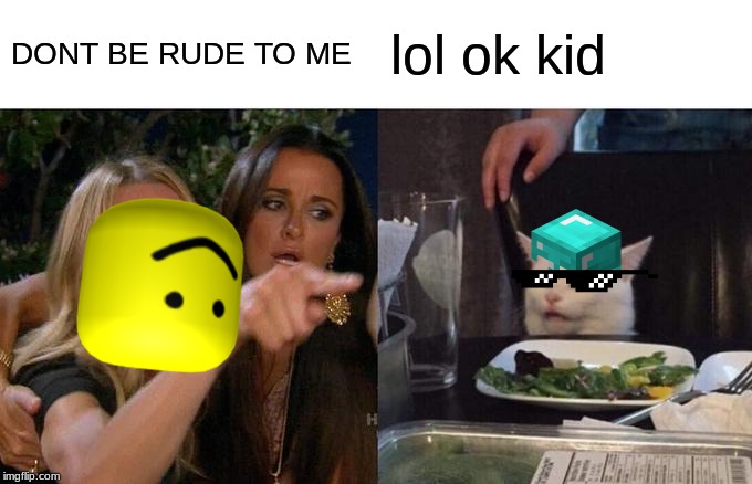 Woman Yelling At Cat | DONT BE RUDE TO ME; lol ok kid | image tagged in memes,woman yelling at cat | made w/ Imgflip meme maker