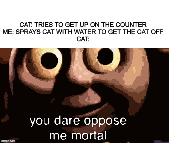 You dare oppose me mortal | CAT: TRIES TO GET UP ON THE COUNTER
ME: SPRAYS CAT WITH WATER TO GET THE CAT OFF
CAT: | image tagged in you dare oppose me mortal | made w/ Imgflip meme maker