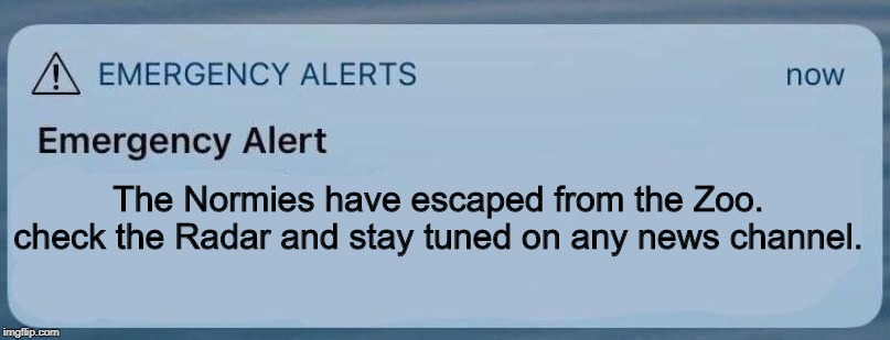 emergency alert | The Normies have escaped from the Zoo. check the Radar and stay tuned on any news channel. | image tagged in emergency alert | made w/ Imgflip meme maker