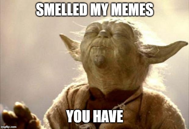 yoda smell | SMELLED MY MEMES YOU HAVE | image tagged in yoda smell | made w/ Imgflip meme maker