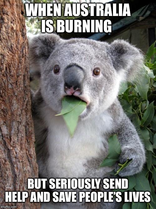 Surprised Koala Meme | WHEN AUSTRALIA IS BURNING; BUT SERIOUSLY SEND HELP AND SAVE PEOPLE’S LIVES | image tagged in memes,surprised koala | made w/ Imgflip meme maker