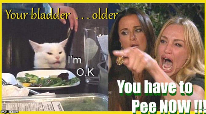 Peeing....when you are older | image tagged in peeing,lol,lady screams at cat,lol so funny,so true memes,bladder | made w/ Imgflip meme maker