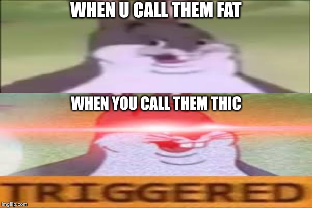 WHEN U CALL THEM FAT; WHEN YOU CALL THEM THIC | made w/ Imgflip meme maker