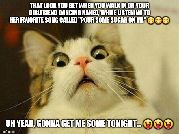 Scared Cat Meme | THAT LOOK YOU GET WHEN YOU WALK IN ON YOUR GIRLFRIEND DANCING NAKED, WHILE LISTENING TO HER FAVORITE SONG CALLED "POUR SOME SUGAR ON ME" 😁😁😁; OH YEAH, GONNA GET ME SOME TONIGHT... 😛😛😛 | image tagged in memes,scared cat | made w/ Imgflip meme maker