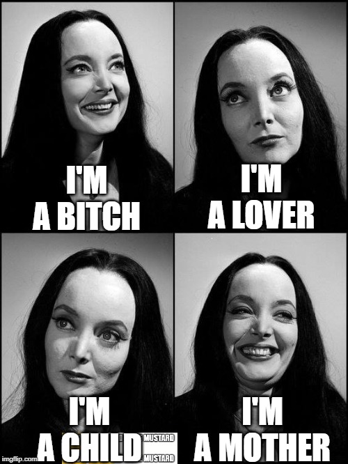 Bitch | I'M A LOVER; I'M A BITCH; I'M A CHILD; I'M A MOTHER | image tagged in bitch,addams family | made w/ Imgflip meme maker