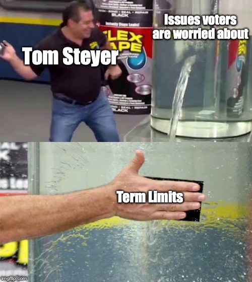 Flex Tape | Issues voters are worried about; Tom Steyer; Term Limits | image tagged in flex tape | made w/ Imgflip meme maker