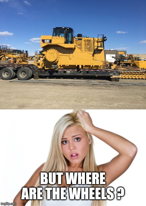 BUT WHERE ARE THE WHEELS ? | image tagged in dumb blonde | made w/ Imgflip meme maker