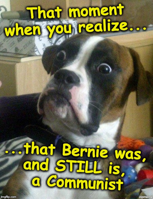'Democratic Socialism' IS Communism | That moment when you realize... ...that Bernie was, 
and STILL is, 
a Communist | image tagged in funny dog,bernie sanders | made w/ Imgflip meme maker