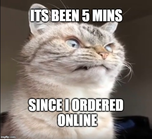 no patience | ITS BEEN 5 MINS; SINCE I ORDERED
 ONLINE | image tagged in funny memes,grumpy cat,still waiting,memes | made w/ Imgflip meme maker