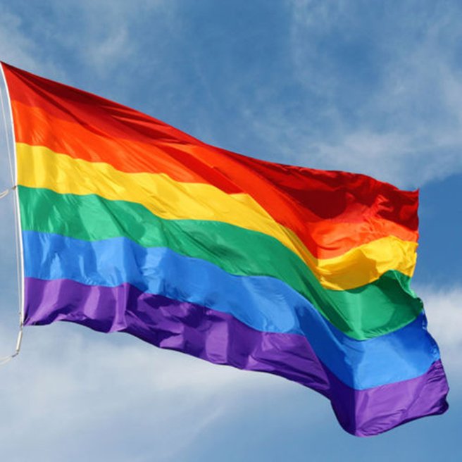High Quality Rainbow Flag Blank Meme Template