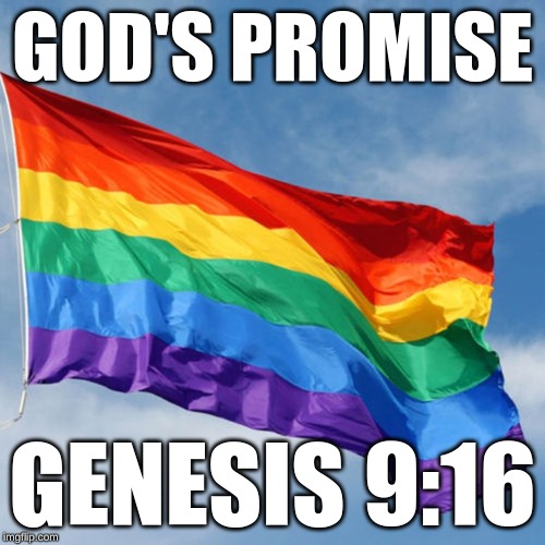 Rainbow Flag | GOD'S PROMISE; GENESIS 9:16 | image tagged in rainbow flag | made w/ Imgflip meme maker