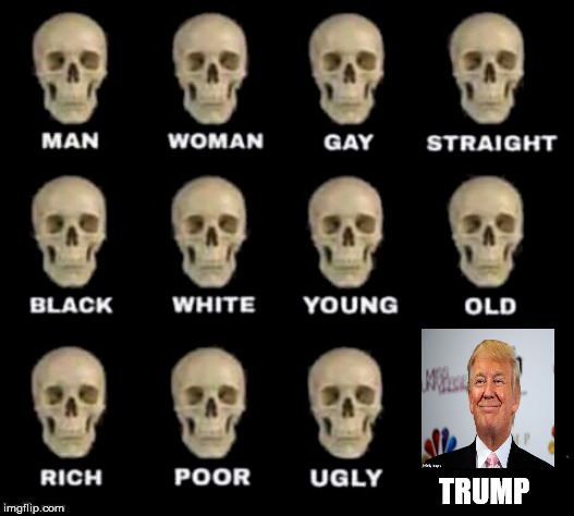 There's only one | TRUMP | image tagged in idiot skull,donald trump | made w/ Imgflip meme maker