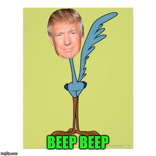 Roadrunner  | BEEP BEEP | image tagged in roadrunner | made w/ Imgflip meme maker