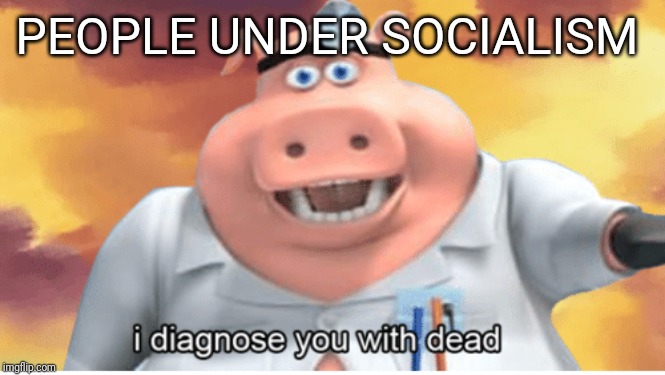 I diagnose you with dead | PEOPLE UNDER SOCIALISM | image tagged in i diagnose you with dead | made w/ Imgflip meme maker