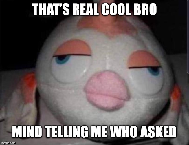 that’s real cool bromind telling me who asked | THAT’S REAL COOL BRO; MIND TELLING ME WHO ASKED | image tagged in fish,satire | made w/ Imgflip meme maker