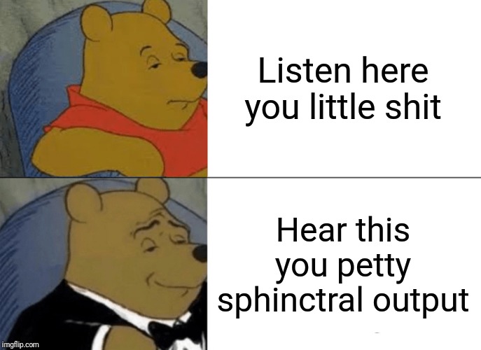 Tuxedo Winnie The Pooh | Listen here you little shit; Hear this you petty sphinctral output | image tagged in memes,tuxedo winnie the pooh | made w/ Imgflip meme maker