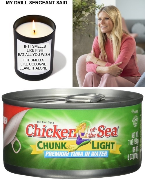 My Drill Sergeant said: Stay away from Gwyneth Paltrow's pussy | image tagged in chicken of the sea,gwyneth paltrow,gwyneth paltrows pussy,pussy,vagina,chlamydia | made w/ Imgflip meme maker