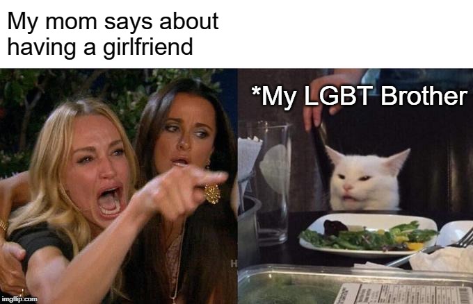 Woman Yelling At Cat Meme | My mom says about having a girlfriend; *My LGBT Brother | image tagged in memes,woman yelling at cat | made w/ Imgflip meme maker