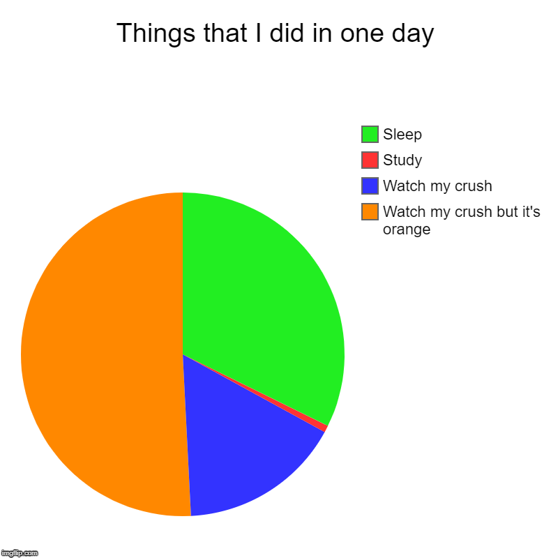 Very details | Things that I did in one day | Watch my crush but it's orange, Watch my crush, Study, Sleep | image tagged in charts,pie charts,crush | made w/ Imgflip chart maker