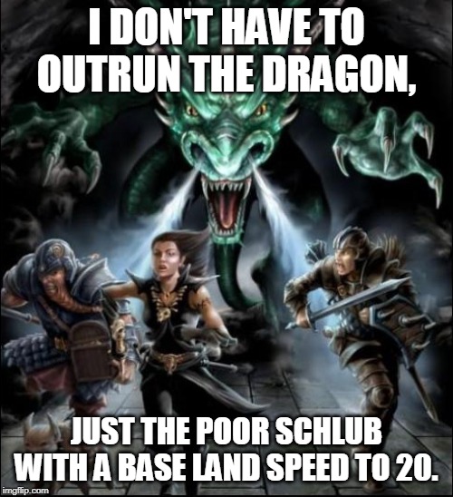 What's the fighter armor penalty to speed? | I DON'T HAVE TO OUTRUN THE DRAGON, JUST THE POOR SCHLUB WITH A BASE LAND SPEED TO 20. | image tagged in dd angry dragon,dungeons and dragons | made w/ Imgflip meme maker