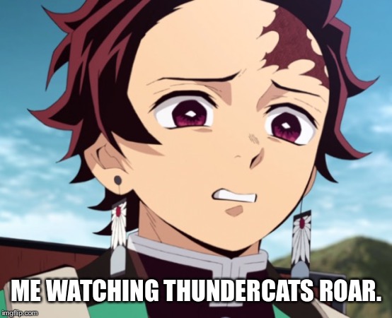 ME WATCHING THUNDERCATS ROAR. | image tagged in anime,thundercats,cartoon network | made w/ Imgflip meme maker