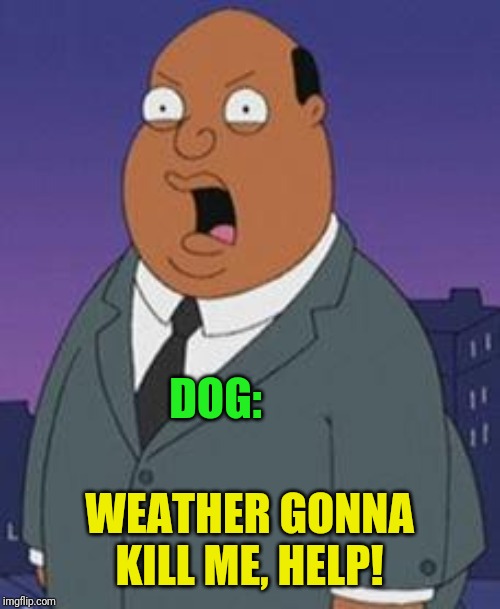 Family guy weatherman | DOG: WEATHER GONNA KILL ME, HELP! | image tagged in family guy weatherman | made w/ Imgflip meme maker